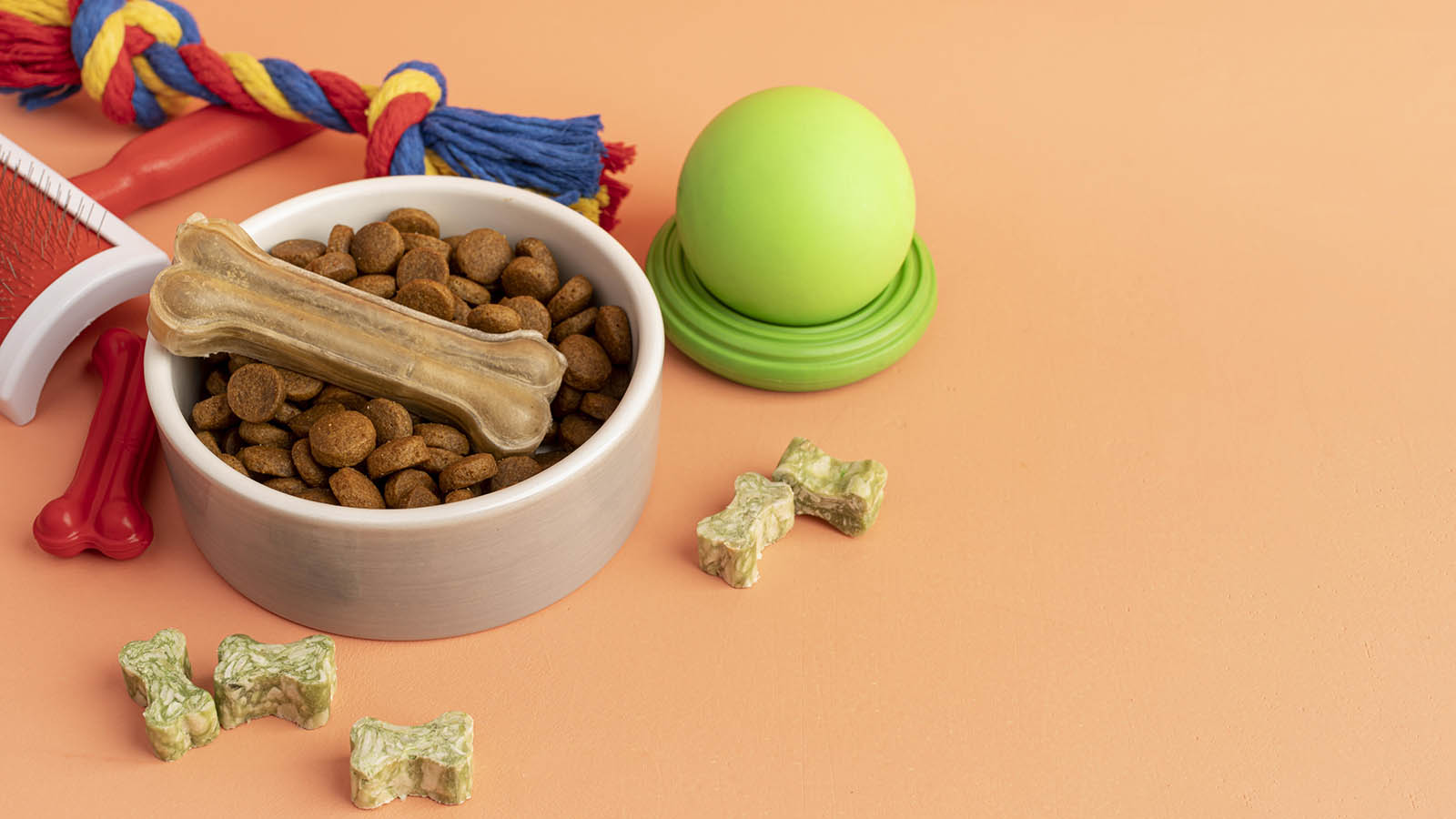 5 Easy Ways to Keep Your Dog's Teeth Clean