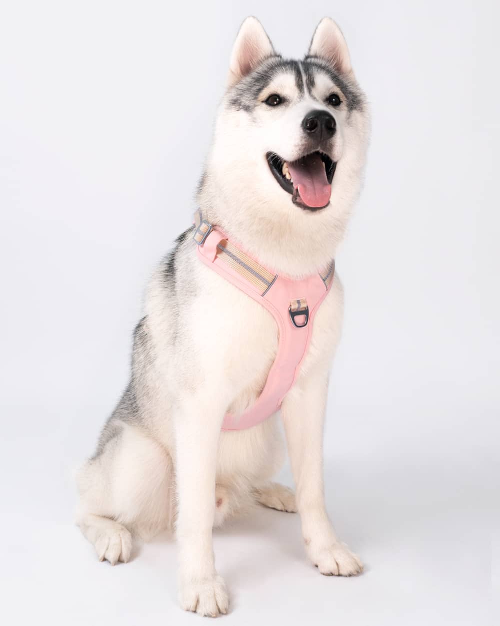 Motion Pro No pull Dog Harness - Crystal Pink