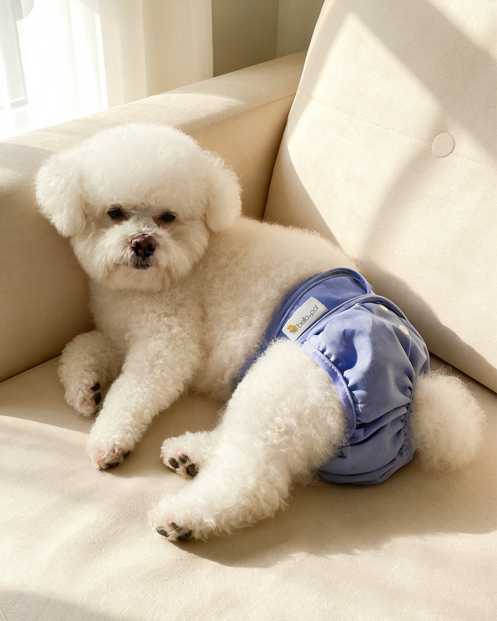 可水洗母犬尿布3件裝 - 莓果藍