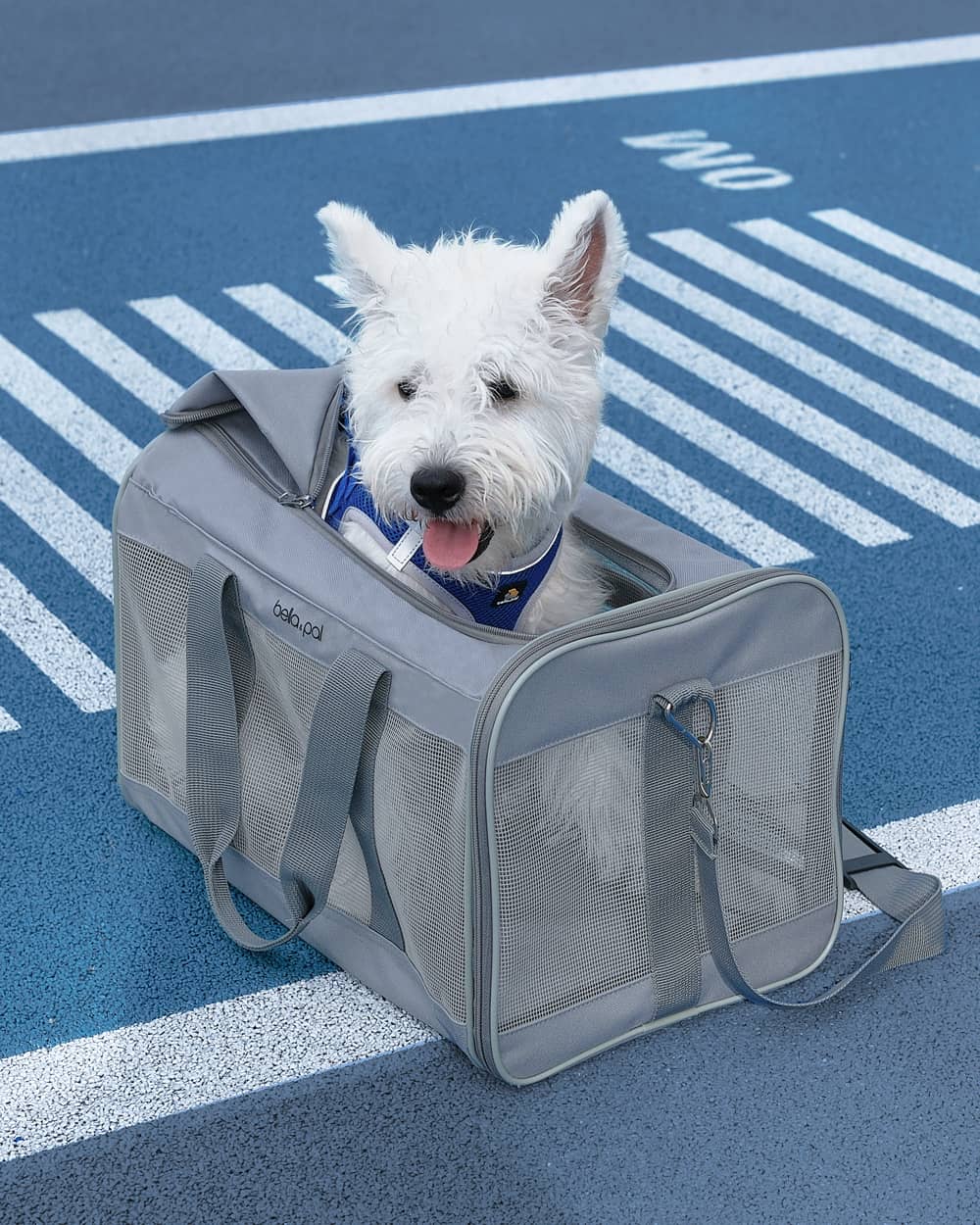 Portable Pet Travel Carrier - Smoky Grey