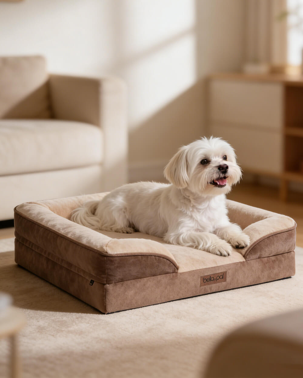 Orthopedic Dog Bed - Soft Mocha - stringsmall