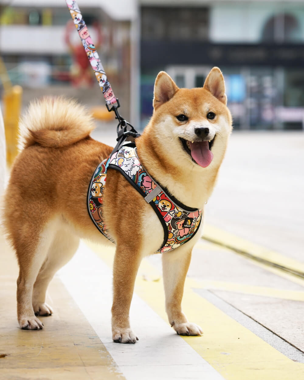 Bella & Pal × PJai & Friends OxyMesh Velcro Step-in Harness Set - Cuddle Club