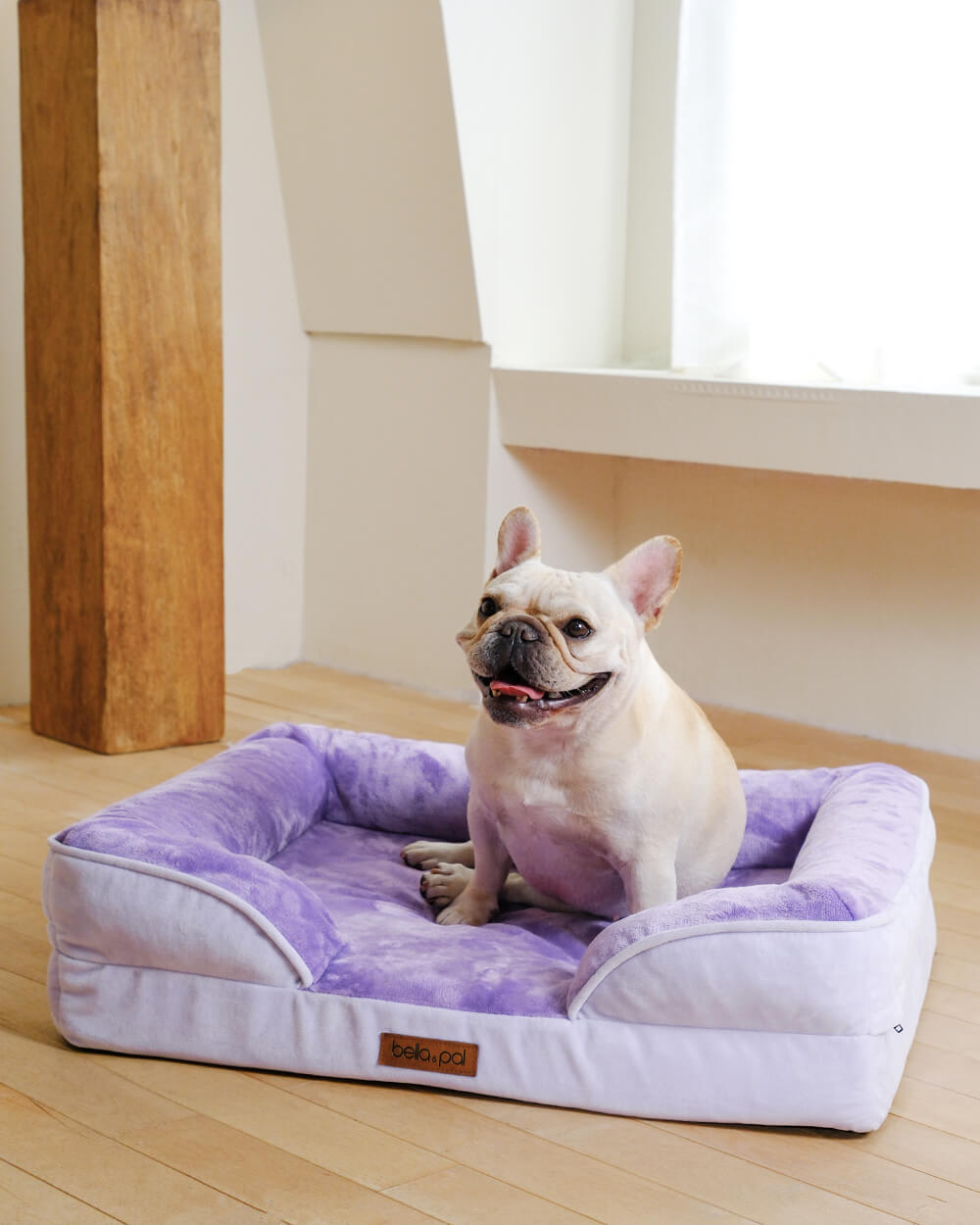 Orthopedic Dog Bed - Lavender Luxe