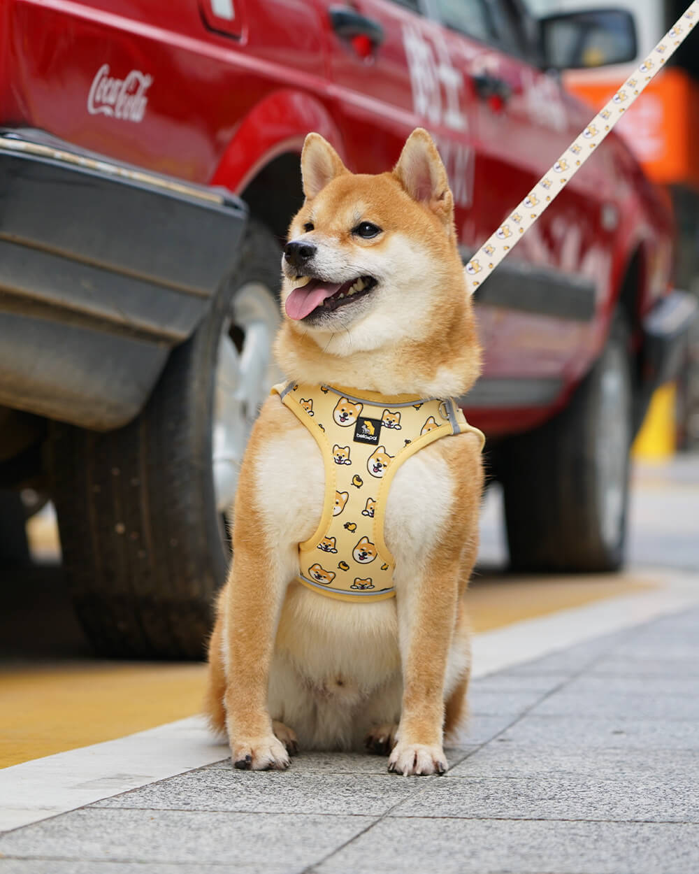 Bella & Pal × PJai & Friends OxyMesh Velcro Step-in Harness Set - Genki Shiba