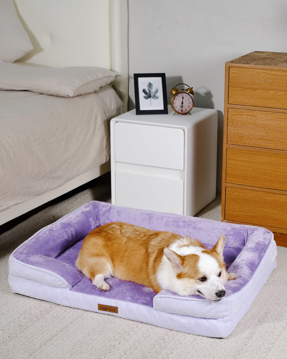 Orthopedic Dog Bed - Lavender Luxe