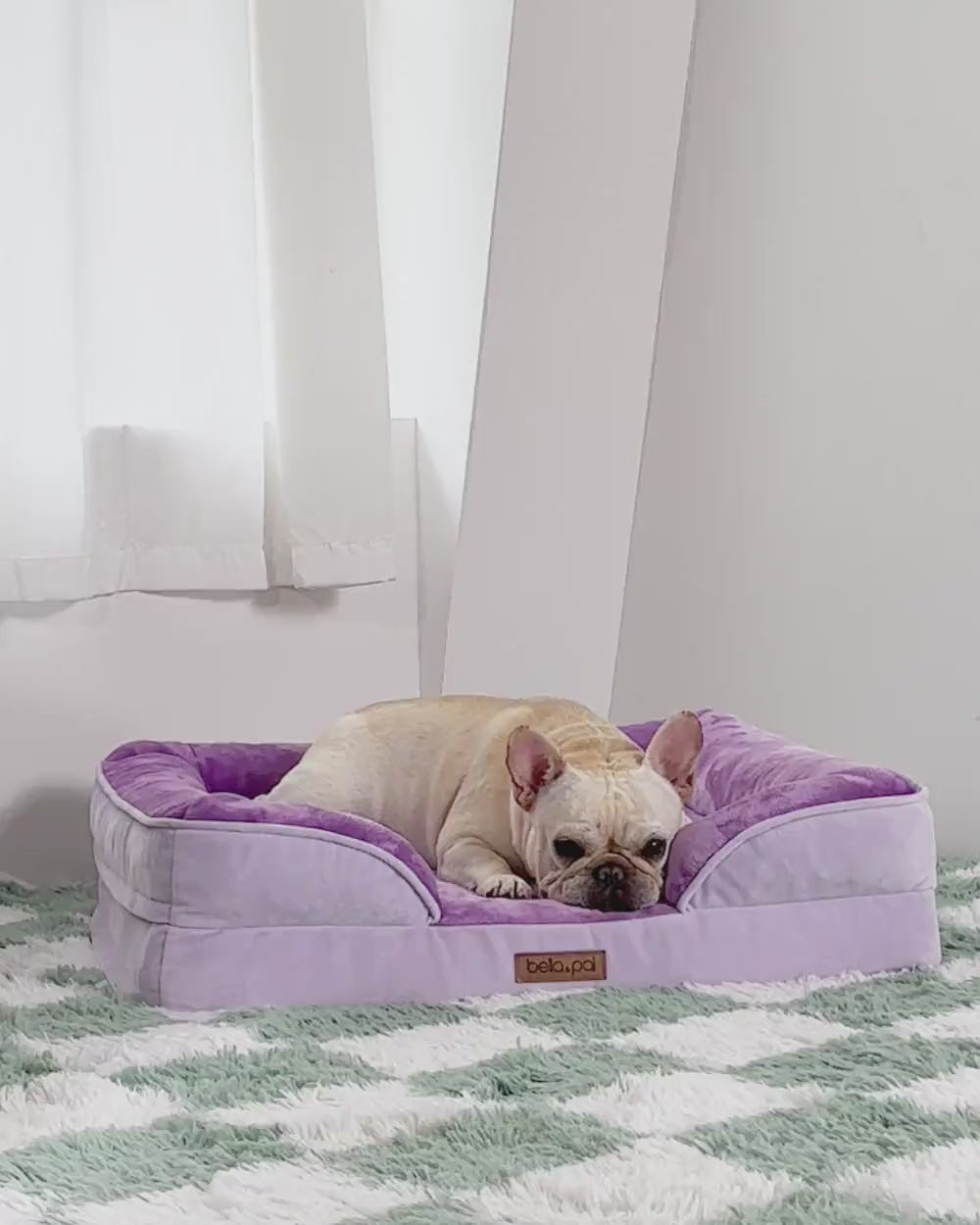 Orthopedic Dog Bed - Lavender Luxe