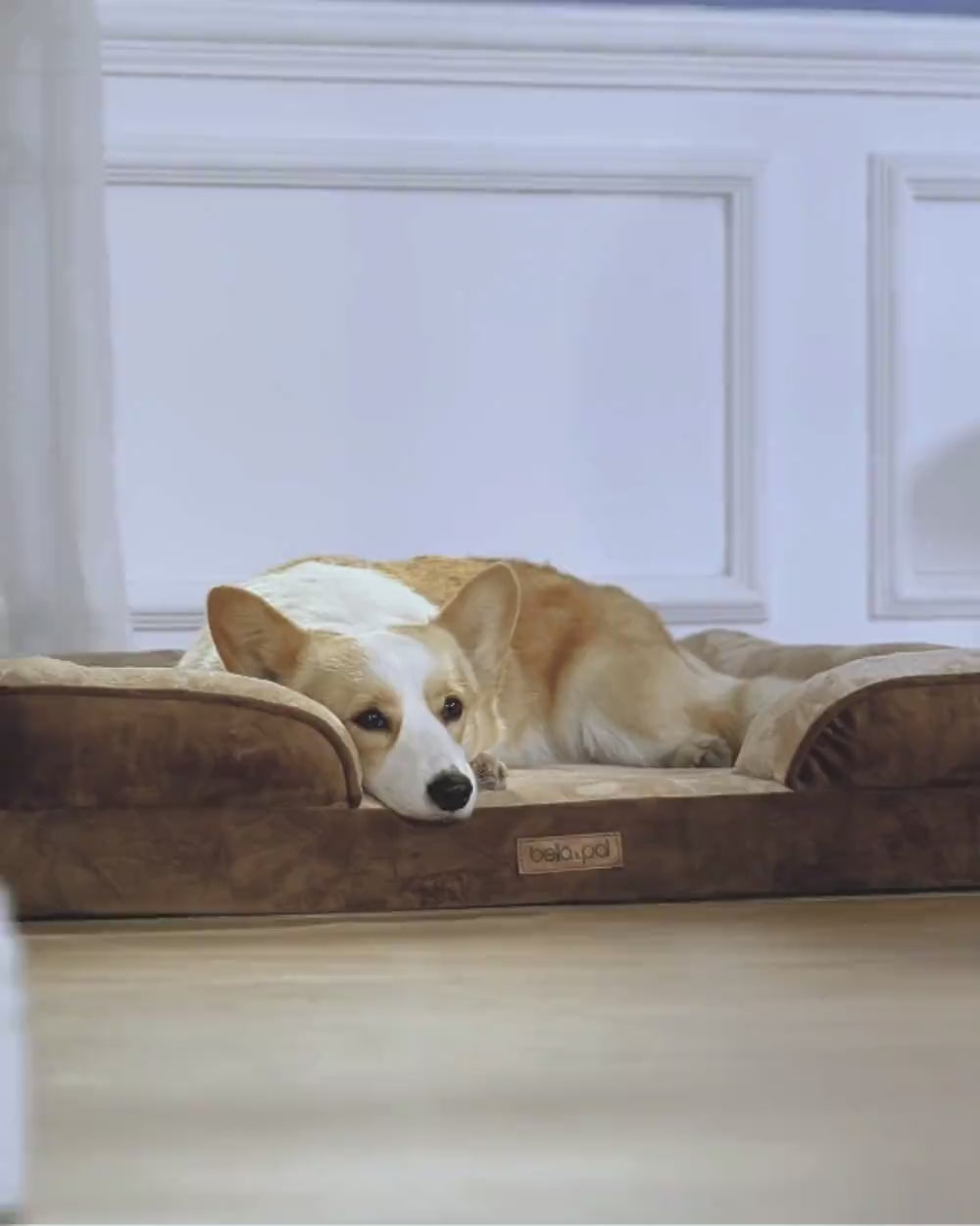 Orthopedic Dog Bed - Soft Mocha