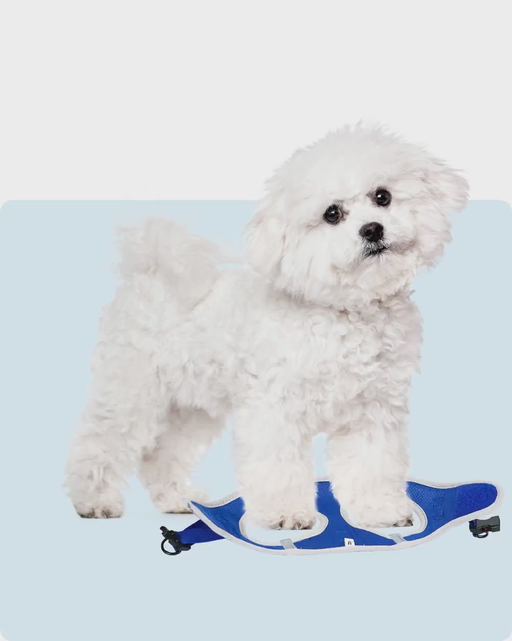 OxyMesh Velcro Step-in Harness and Leash Set - Sapphire