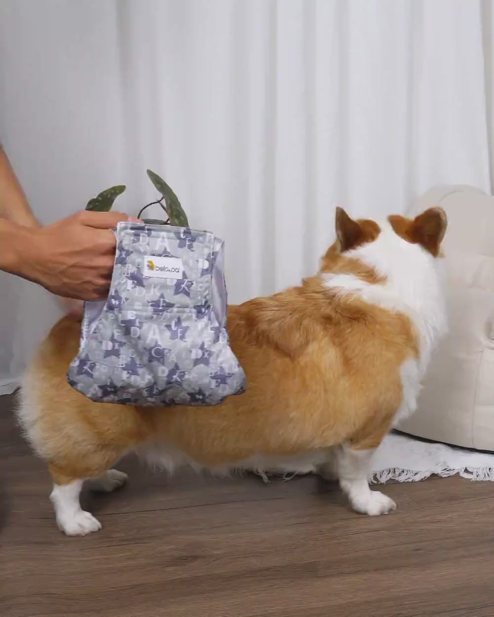 可水洗公狗尿布3 件裝 - 字符玩家