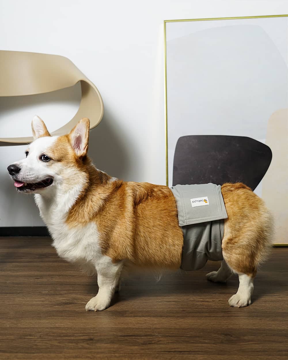 可水洗公狗尿布單片裝 - 紳士灰