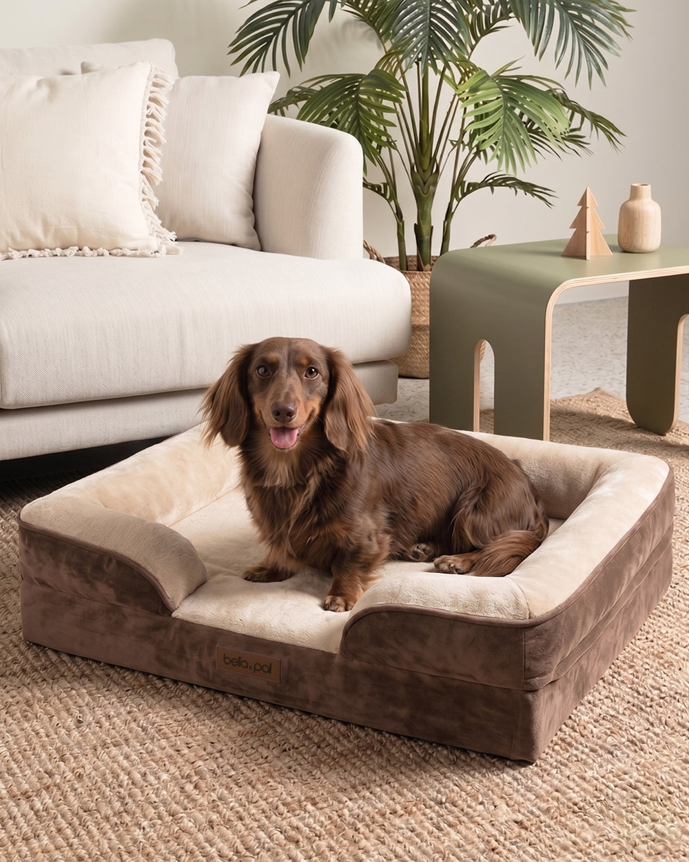 Orthopedic Dog Bed Cover - Soft Mocha