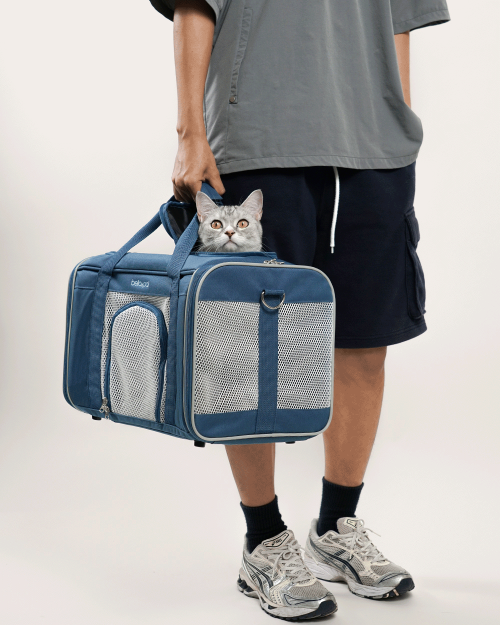 Rolling Pet Carrier with Detachable Trolley - Sky Sailor