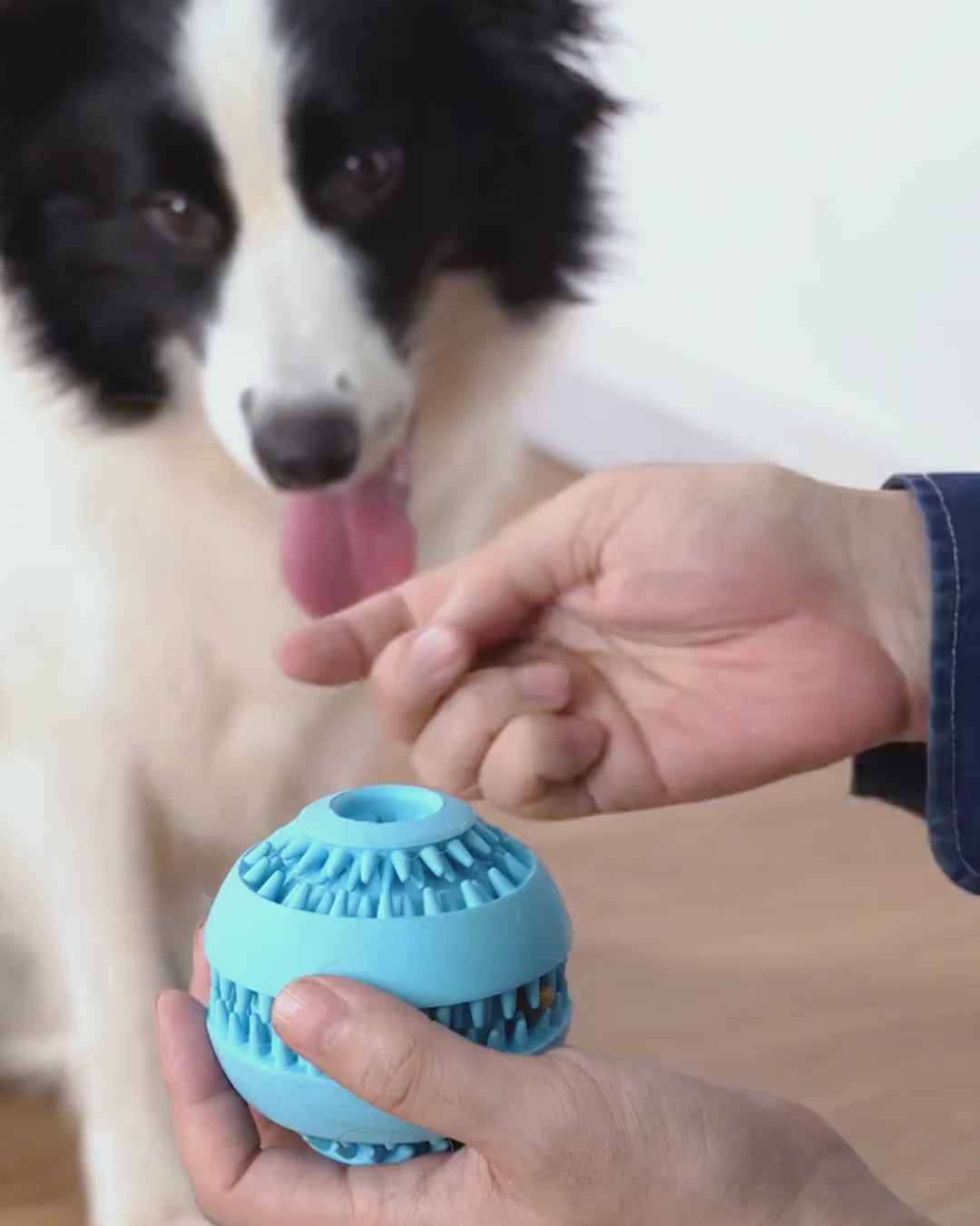 Treat Dispensing Dog Toy - Rubber Ball