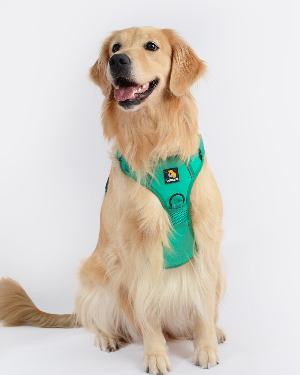 Smart Pro No Pull Dog Harness - Emerald