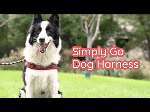 Simply Go 一步到位中大型犬胸背帶- 尊貴紫